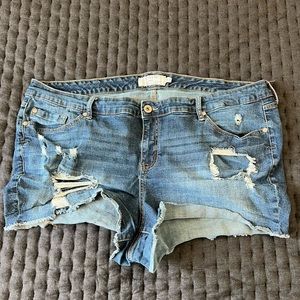 Torrid Distressed Denim Shorts - Size 24